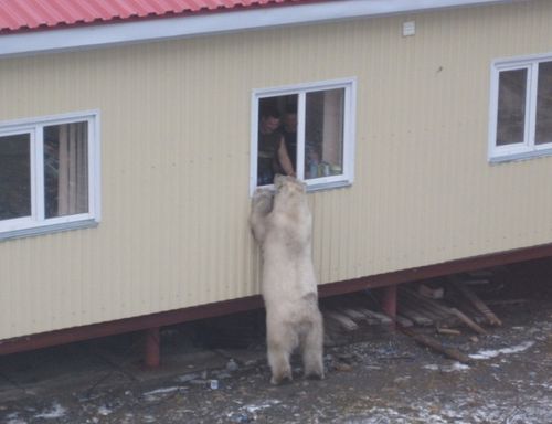 Очередной визит хозяина Севера