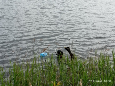 uZy20KTTdEk.jpg uZy20KTTdEk.jpg