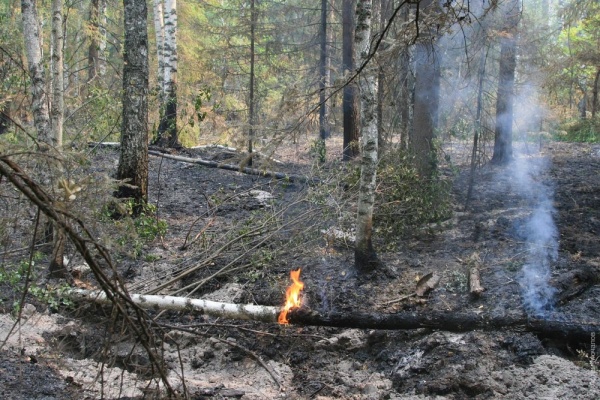 IMG_1044jpgart1.jpg IMG_1044jpgart1.jpg