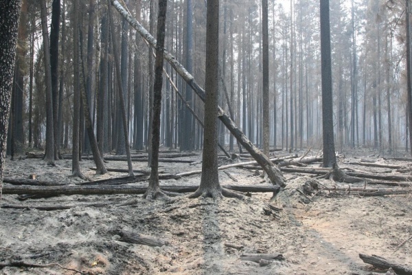 IMG_1056jpgart1.jpg IMG_1056jpgart1.jpg