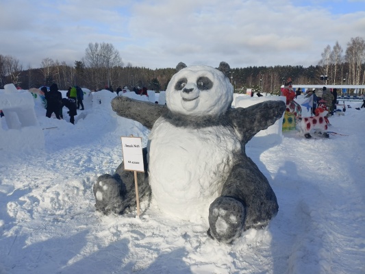 IMG20220122132144.jpg IMG20220122132144.jpg