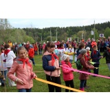 ленты1.jpg ленты1.jpg