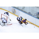 Дизель1.jpg Дизель1.jpg