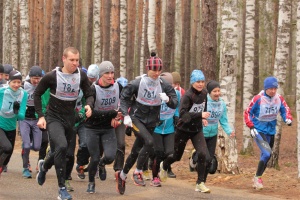 кросс.jpg кросс.jpg