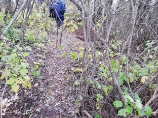 ca48531a2bc62782b1db5c5b25662d09090641a2_1152.jpg ca48531a2bc62782b1db5c5b25662d09090641a2_1152.jpg