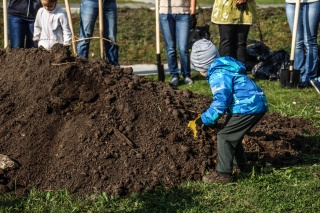 IMG_0515.jpg IMG_0515.jpg