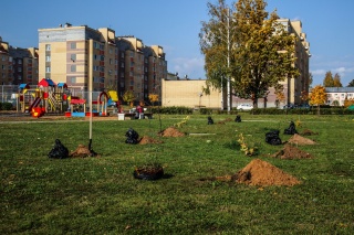 IMG_0545.jpg IMG_0545.jpg