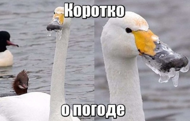 082zQYoeg4E.jpg 082zQYoeg4E.jpg