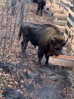 WaOG0yWi_W8.jpg WaOG0yWi_W8.jpg