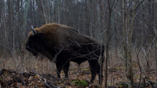 _jsO_VK08Hs.jpg _jsO_VK08Hs.jpg