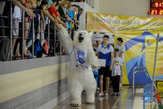 W11Zju9eiY8.jpg W11Zju9eiY8.jpg