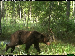 22zKkBpcftA.jpg 22zKkBpcftA.jpg