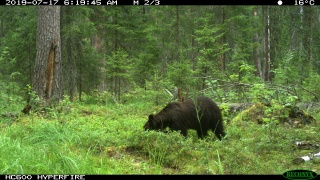 G0GyzepsnVw.jpg G0GyzepsnVw.jpg