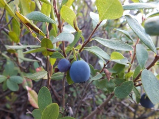 Z-g-JKg_4Wg.jpg Z-g-JKg_4Wg.jpg