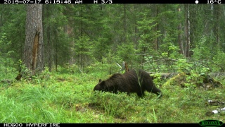 Z6FOZMEZVrA.jpg Z6FOZMEZVrA.jpg