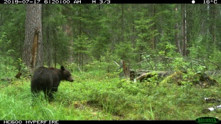 a28BJhZAmtc.jpg a28BJhZAmtc.jpg