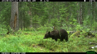 hp6MK9PblUw.jpg hp6MK9PblUw.jpg