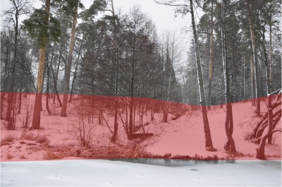 funkczionalnoe_odnoobrazie_73dc257a03.jpeg funkczionalnoe_odnoobrazie_73dc257a03.jpeg