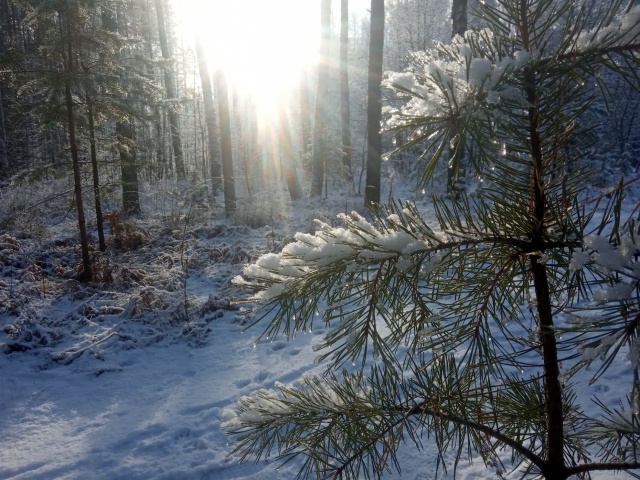 3FuwmoxHrKw.jpg 3FuwmoxHrKw.jpg