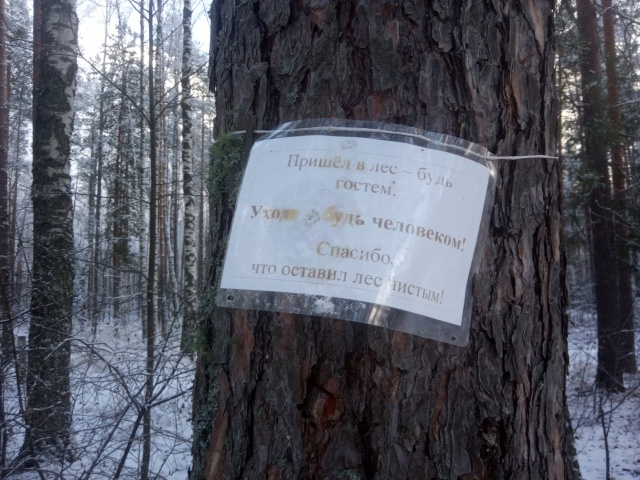 VJIP3AQGjOE.jpg VJIP3AQGjOE.jpg