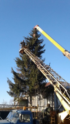 GhyBOs33lBo.jpg GhyBOs33lBo.jpg