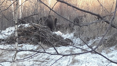 -nO9q25MCxo.jpg -nO9q25MCxo.jpg