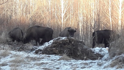 JwmcryvCIR4.jpg JwmcryvCIR4.jpg