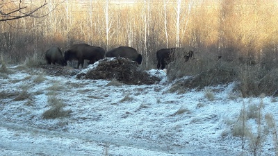 am36Q3xqO5M.jpg am36Q3xqO5M.jpg