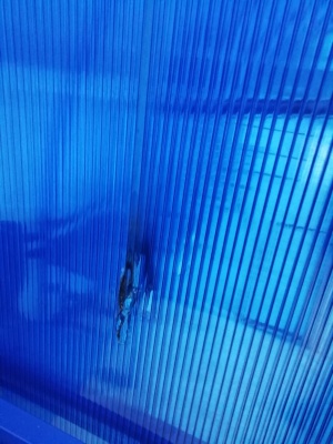 lWAySLtxJig.jpg lWAySLtxJig.jpg