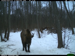 -r1qfv6lK24.jpg -r1qfv6lK24.jpg