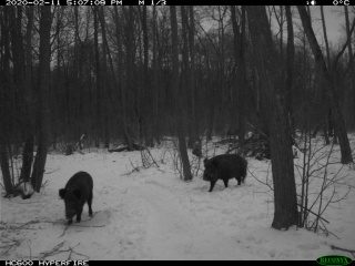 Oq5h19oJKtg.jpg Oq5h19oJKtg.jpg