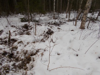 U_pfW8SoNW4.jpg U_pfW8SoNW4.jpg