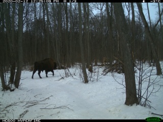 X2nw642ya2I.jpg X2nw642ya2I.jpg