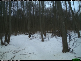 cIULEwlOoC4.jpg cIULEwlOoC4.jpg