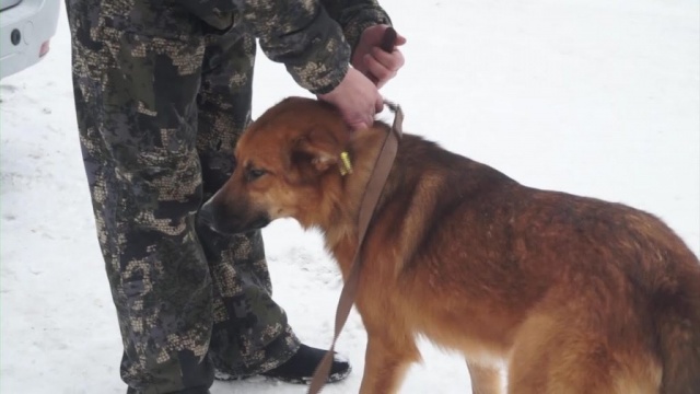 ugLXpd33J_A.jpg ugLXpd33J_A.jpg