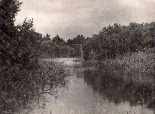 07249560-A753-4519-9BE6-EC4FDF1291AF.jpeg 07249560-A753-4519-9BE6-EC4FDF1291AF.jpeg