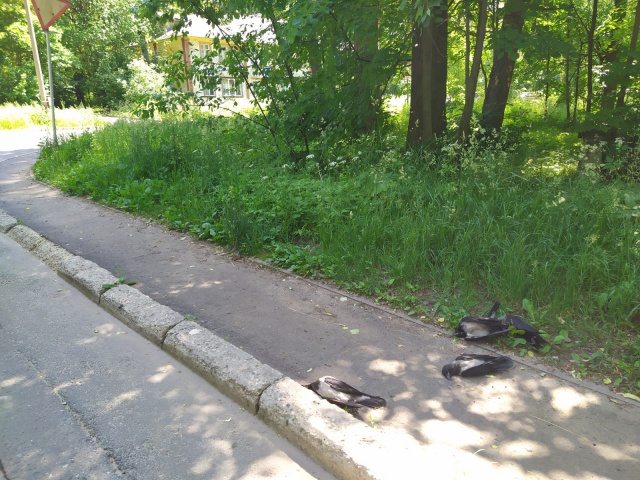 GB_vR-neW70.jpg GB_vR-neW70.jpg