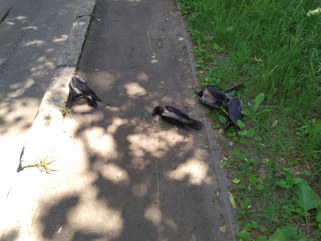 wZVBJ5KrxPQ.jpg wZVBJ5KrxPQ.jpg