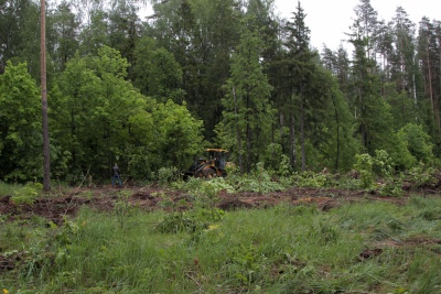 IMG_5913.jpg IMG_5913.jpg