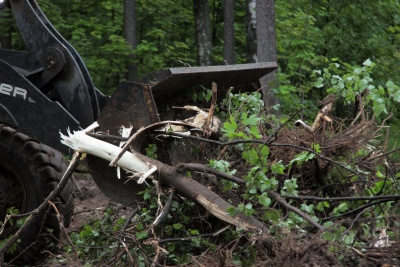 IMG_5960.jpg IMG_5960.jpg