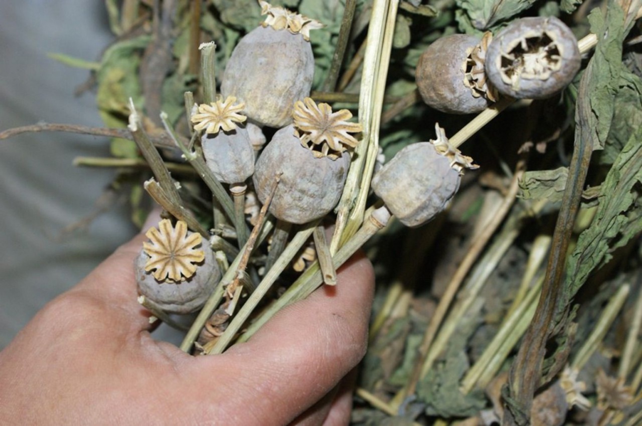 normal_185-d768964cbe3e052e2a37c604891f66b8c233cebe.jpg normal_185-d768964cbe3e052e2a37c604891f66b8c233cebe.jpg