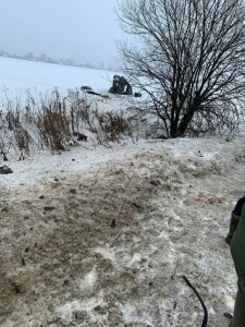 af2a8fd90ecbf76e1376ea656020f6fe07874168_727.jpg af2a8fd90ecbf76e1376ea656020f6fe07874168_727.jpg