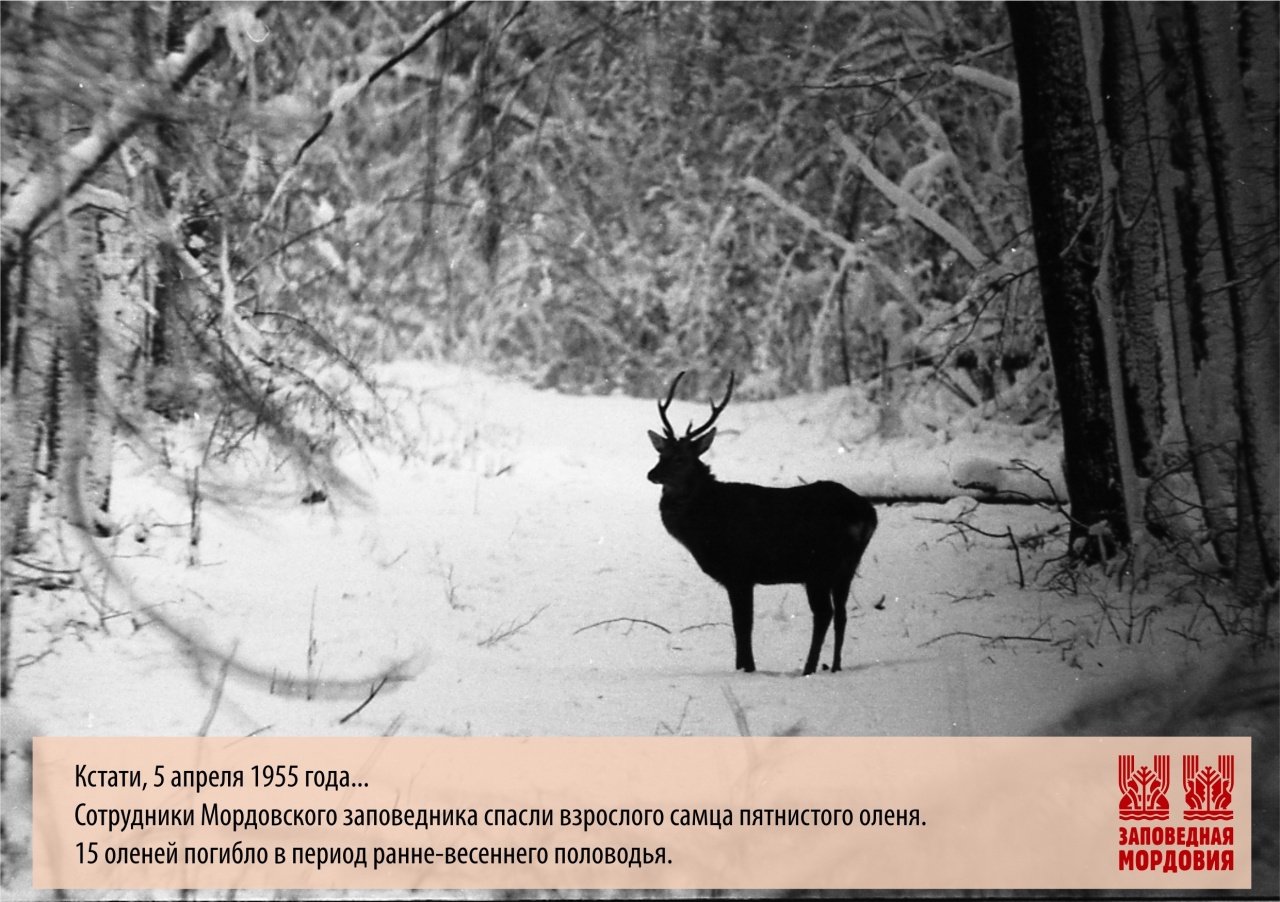 CynHFBYefbw.jpg CynHFBYefbw.jpg