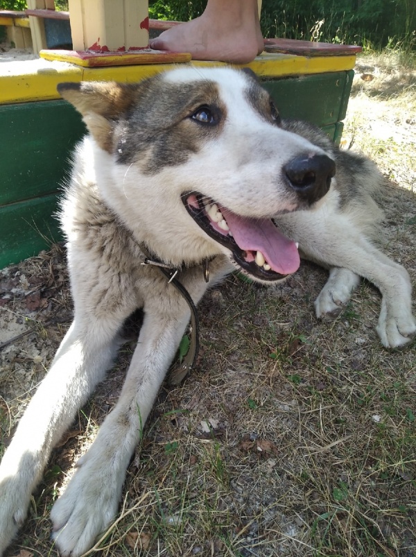 ju6csek-gny.jpg ju6csek-gny.jpg