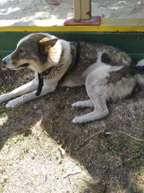 prefq7dko50.jpg prefq7dko50.jpg