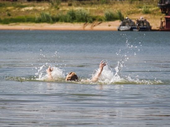 1625031288_catsshgn.jpg 1625031288_catsshgn.jpg