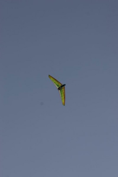 Парит наш орёл