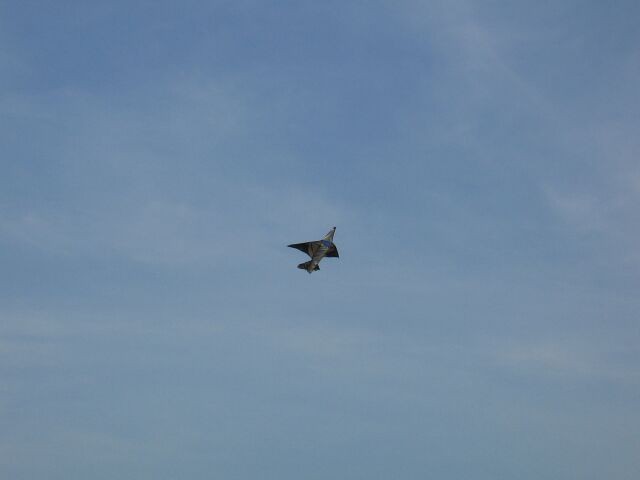 Самоделкины?