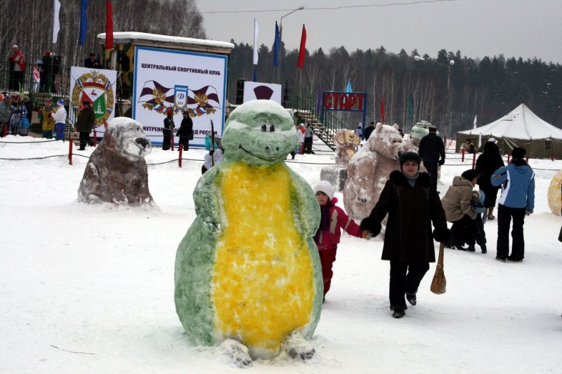 Лыжня России 2008 - 19