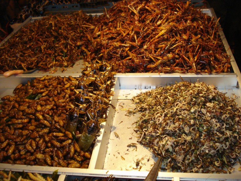 0106 Еда, как много в этом слове 2